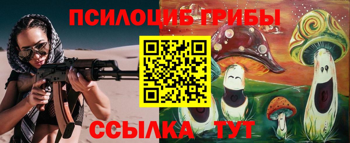 Галлюциногенные грибы ЛСД Кропоткин